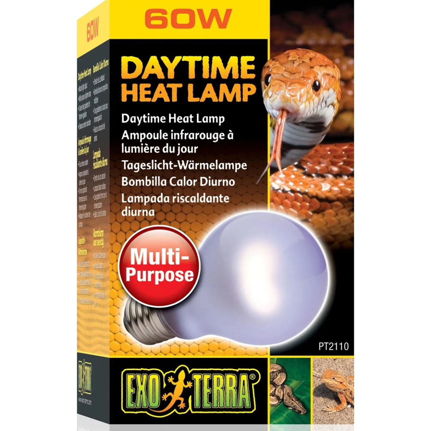 Daytime A19 Heat Lamp