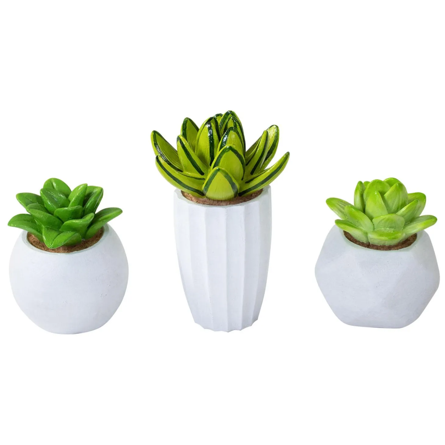 Deco-Replicas Succulent Aquarium Decor Kit