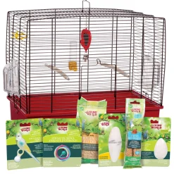 Deluxe Budgie Starter Kit