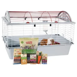 Deluxe Guinea Pig Starter Kit