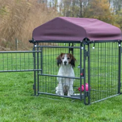 Deluxe Outdoor Dog Kennel