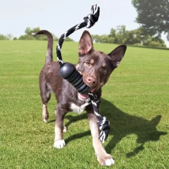 Dental Extreme Rubber & Rope Dog Toy