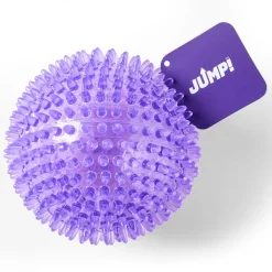 Dental Squeaker Ball Purple Dog Toy