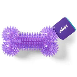 Dental Squeaker Bone Purple Dog Toy