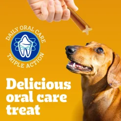 DENTASTIX Daily Original Medium Breed Dog Treats
