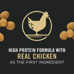 Development Chicken & Rice Formula Large Breed Puppy Dog Food