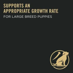 Development Chicken & Rice Formula Large Breed Puppy Dog Food