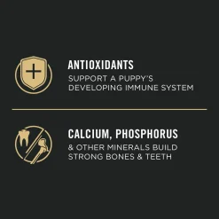 Development Chicken & Rice Formula Large Breed Puppy Dog Food