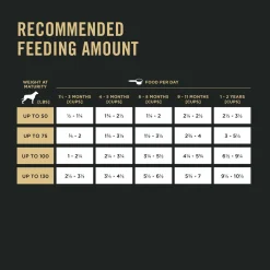 Development Chicken & Rice Formula Large Breed Puppy Dog Food