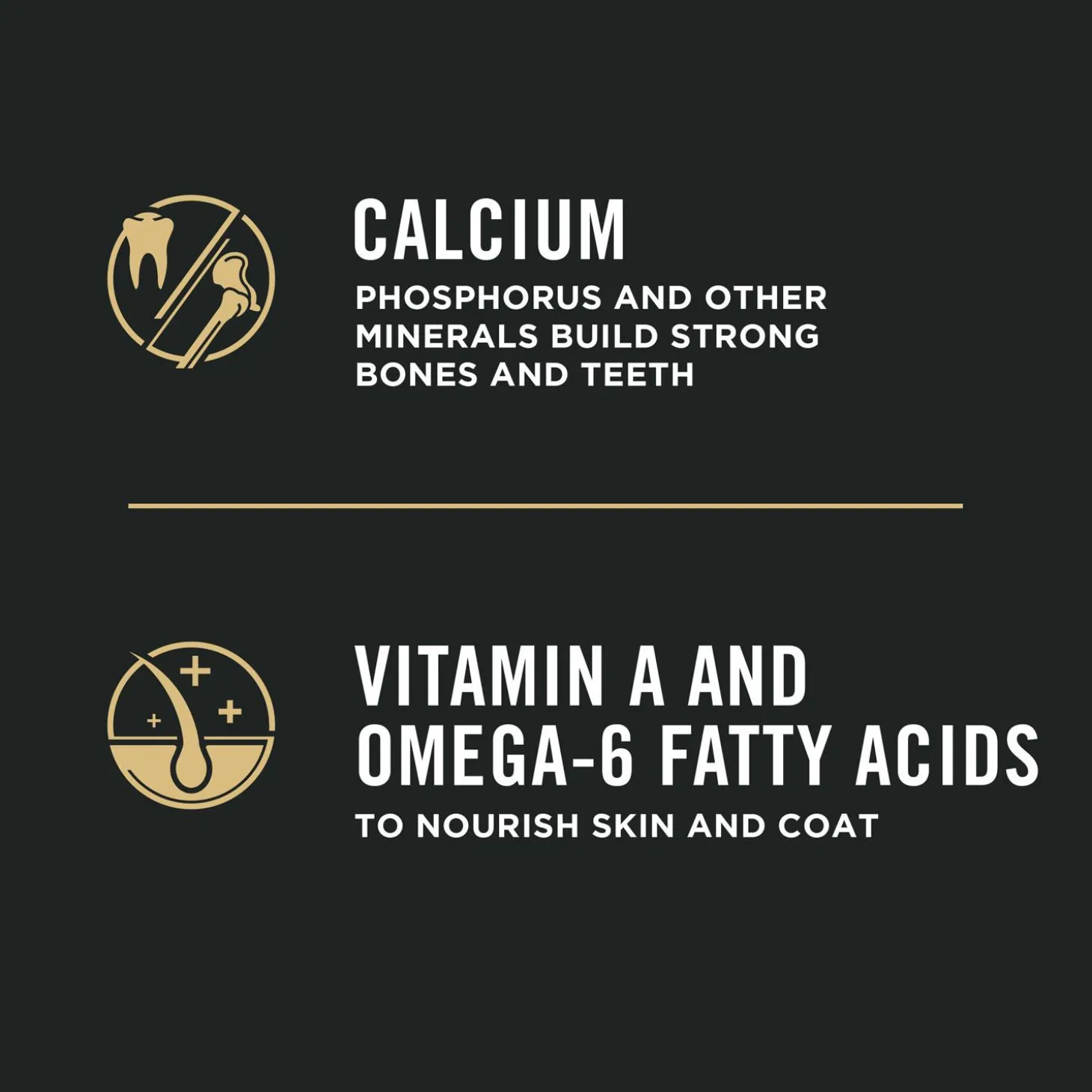 Development Chicken & Rice Formula Small Breed Puppy Dog Food