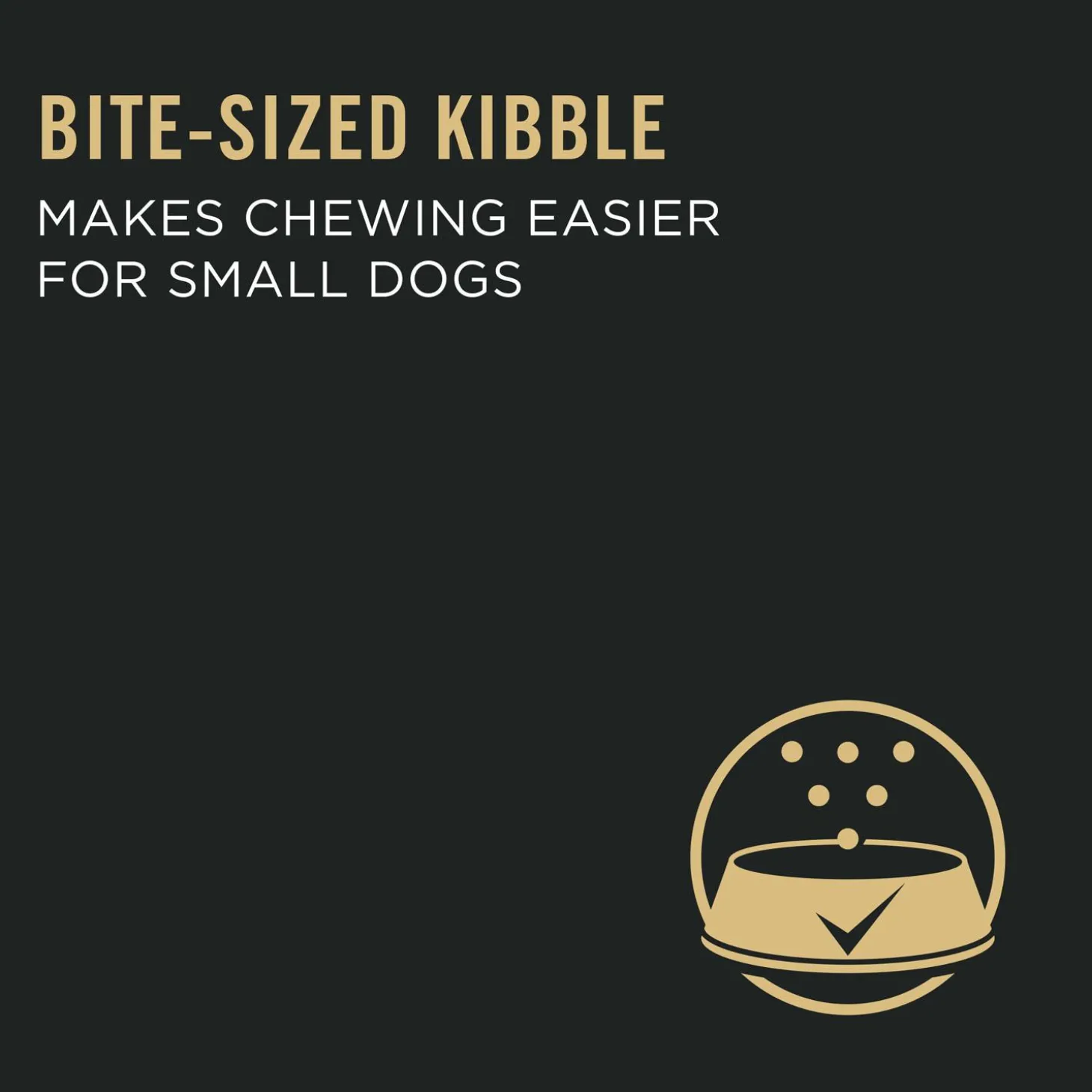 Development Chicken & Rice Formula Small Breed Puppy Dog Food