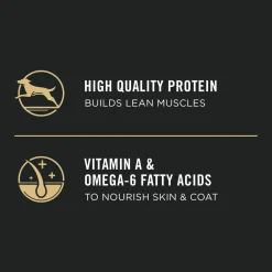 Development Lamb & Rice Formula Puppy Dog Food