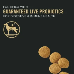 Development Lamb & Rice Formula Puppy Dog Food