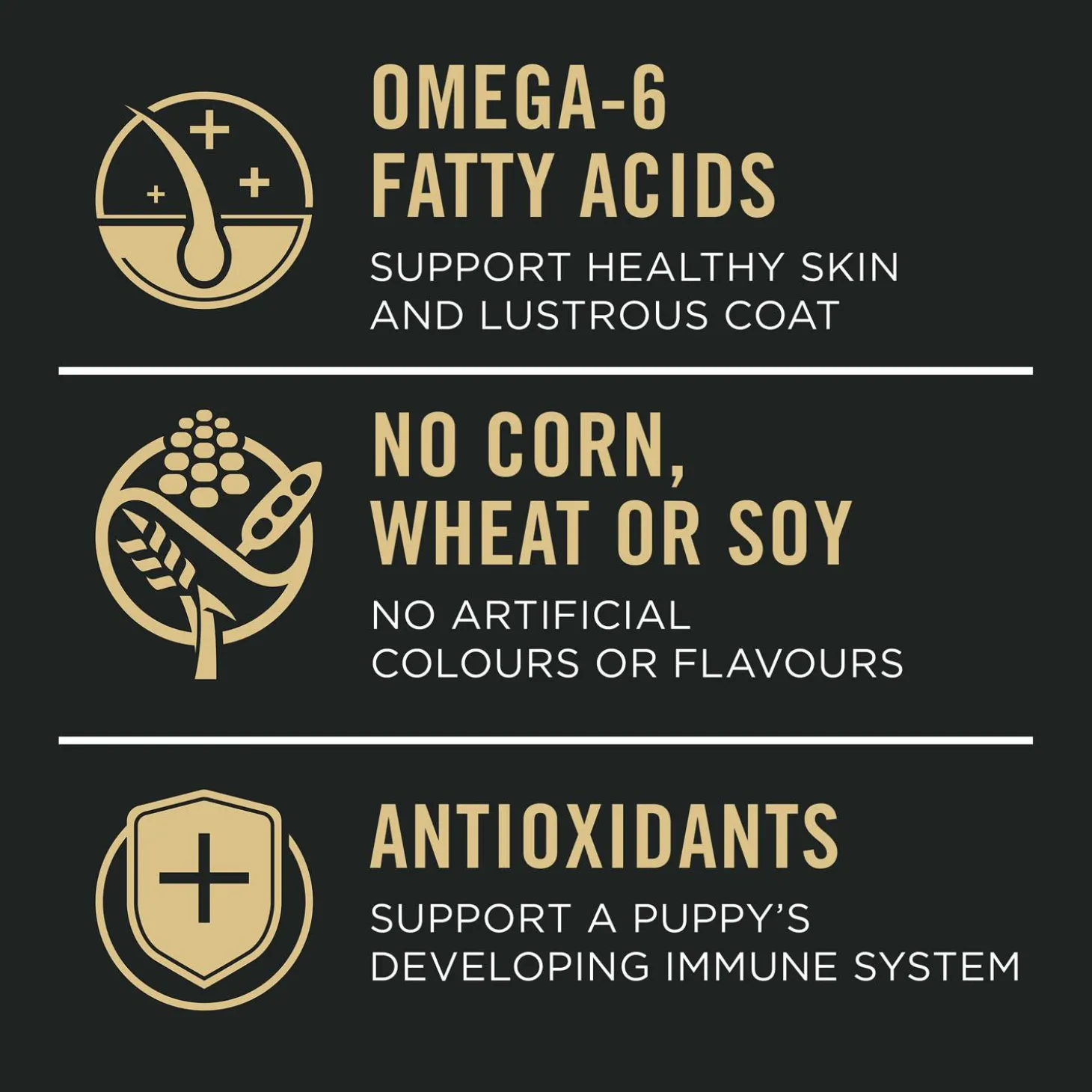 Development Sensitive Skin & Stomach Salmon & Rice Formula Puppy Dog Food