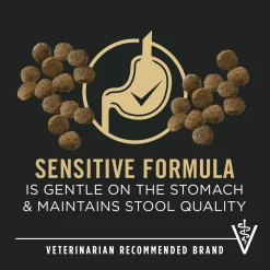 Development Sensitive Skin & Stomach Lamb & Oatmeal Formula Puppy Dog Food