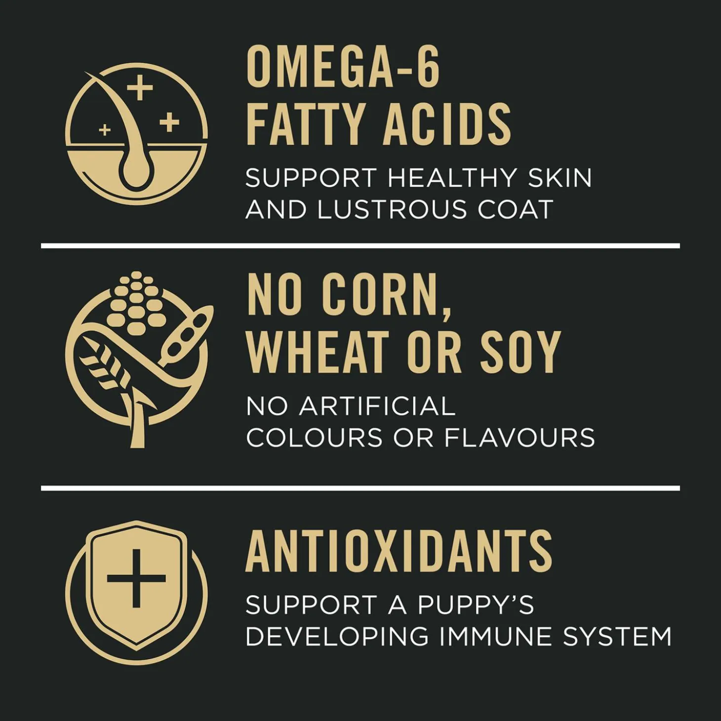 Development Sensitive Skin & Stomach Lamb & Oatmeal Formula Puppy Dog Food