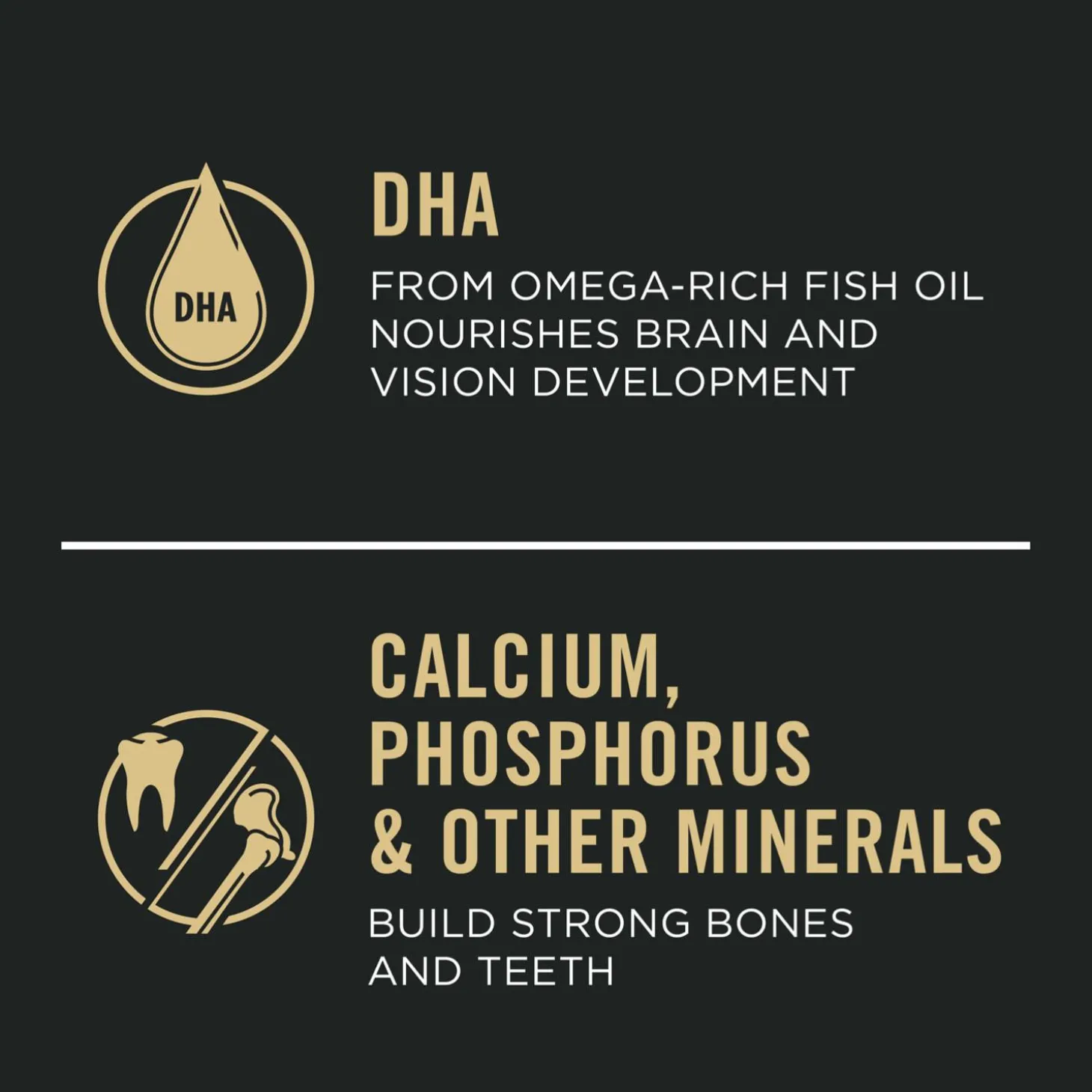 Development Sensitive Skin & Stomach Lamb & Oatmeal Formula Puppy Dog Food