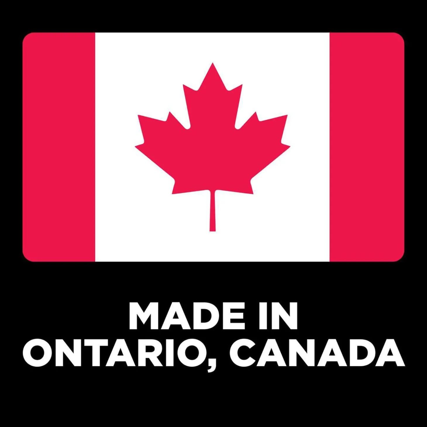 Digestion + Gut Health Chicken Recipe with Ancient Grains Dog Food