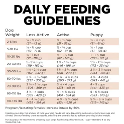 Digestion + Gut Health Salmon Recipe with Ancient Grains Dog Food