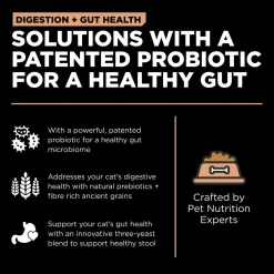 Digestion + Gut Health Salmon With Ancient Grains Recipe Cat Food