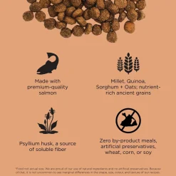Digestion + Gut Health Salmon With Ancient Grains Recipe Cat Food