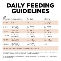 Digestion + Gut Health Salmon With Ancient Grains Recipe Cat Food