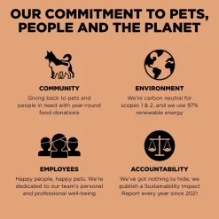 Digestion + Gut Health Salmon With Ancient Grains Recipe Cat Food