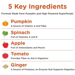 Digestive Pumpkin Dog & Cat Supplement