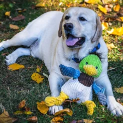 Dilly Duck Knottie Plush Dog Toy
