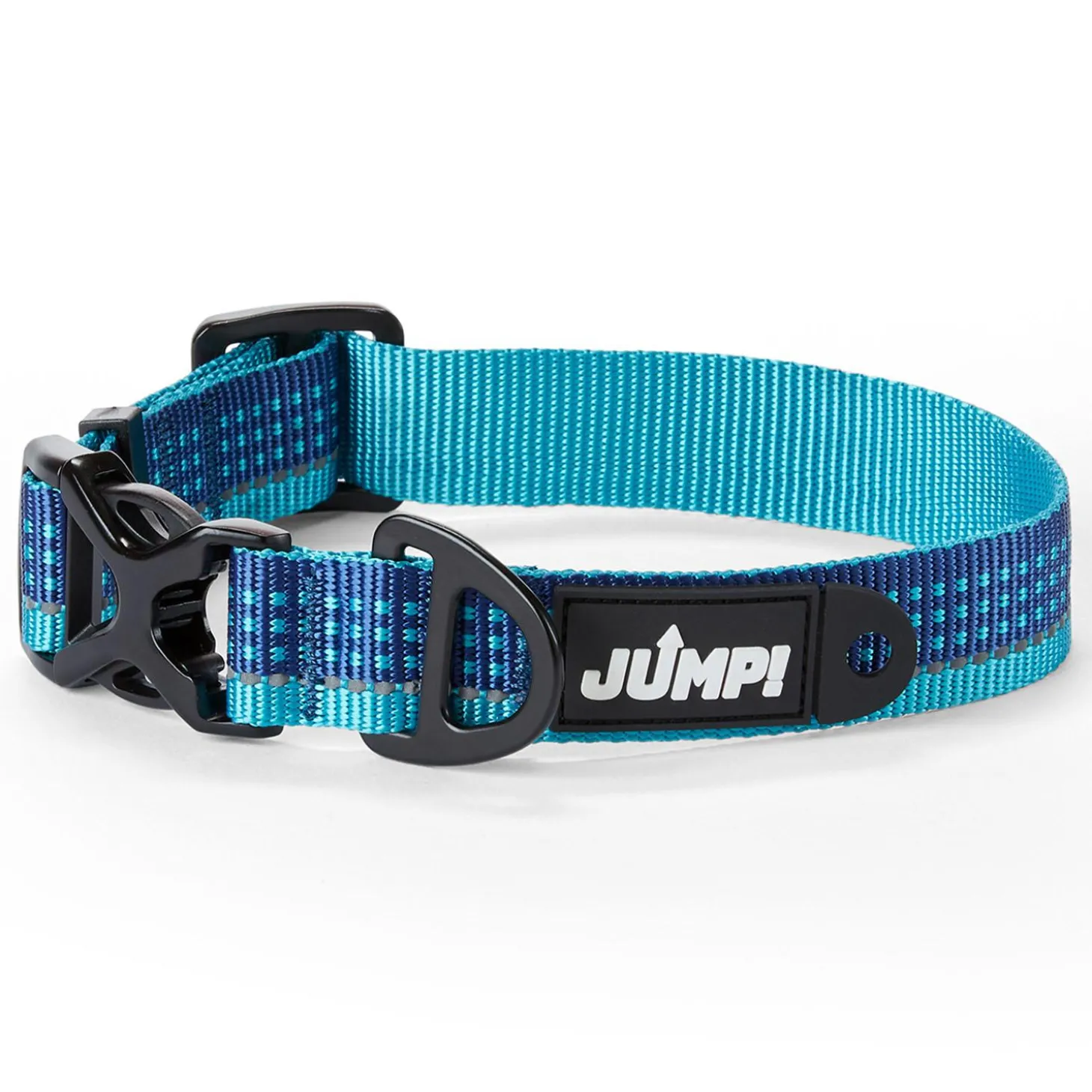 Discover Dog Reflective Adjustable Blue & Aqua Dog Collar