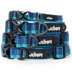 Discover Dog Reflective Adjustable Blue & Aqua Dog Collar
