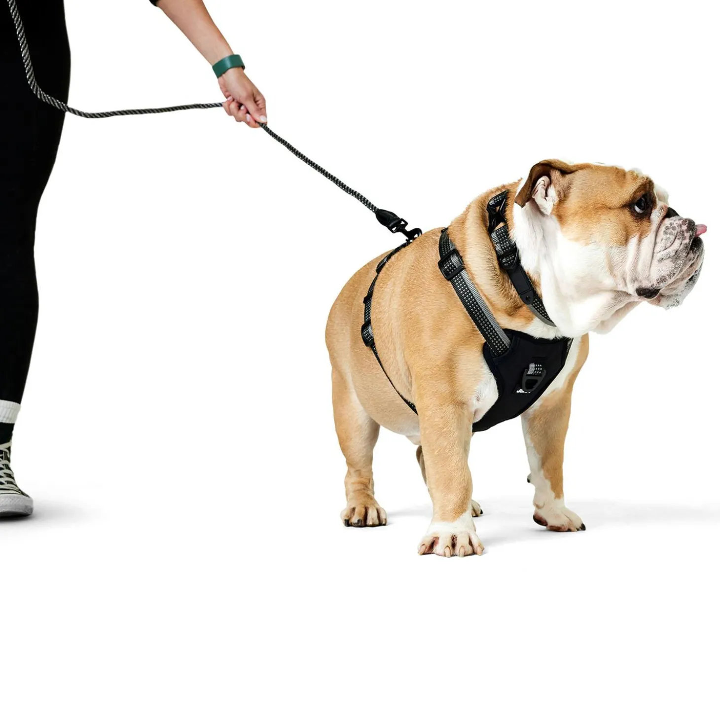 Discover Dog Reflective Multi Attachment Black & Grey Dog Harness