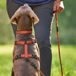 Discover Dog Reflective Multi Attachment Red & Orange Dog Harness