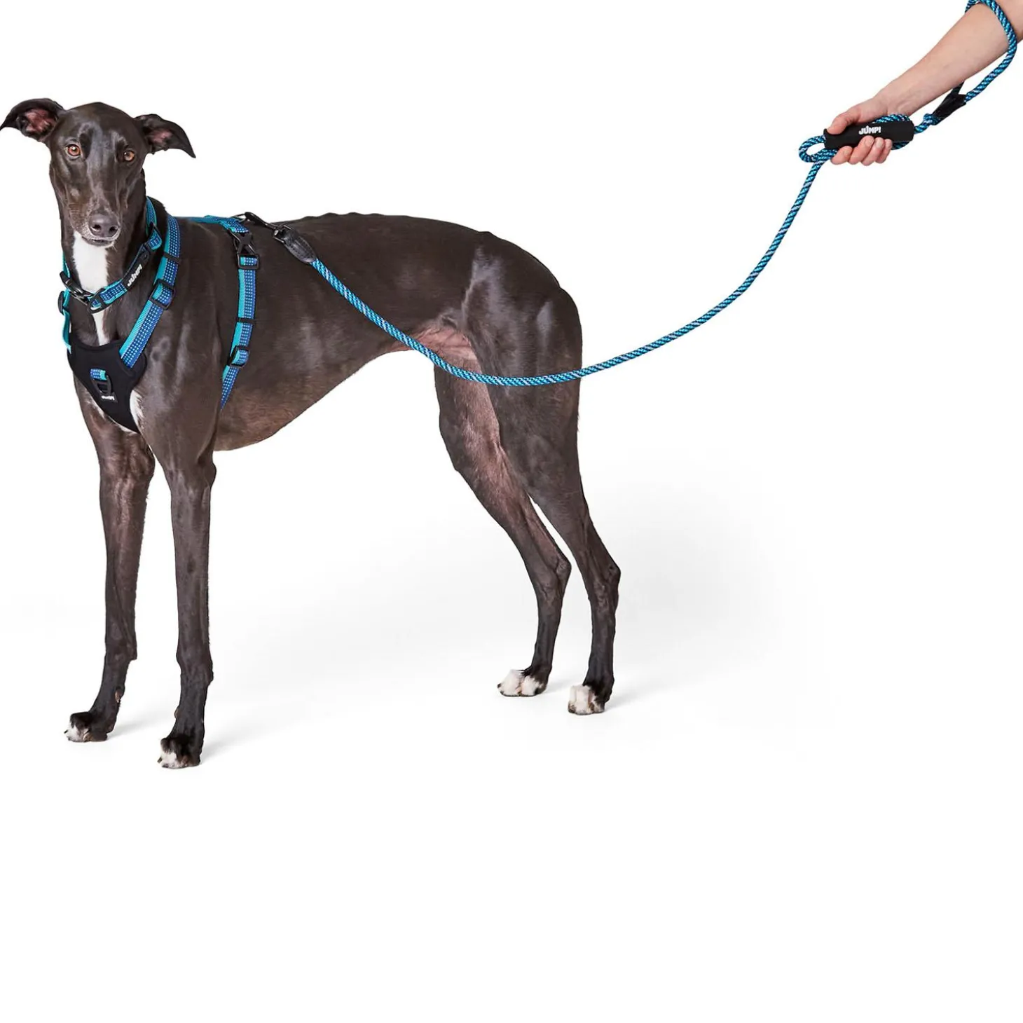 Discover Dog Reflective Rope 3/8in Blue & Aqua Dog Leash