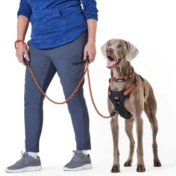 Discover Dog Reflective Rope 3/8in Red & Orange Dog Leash