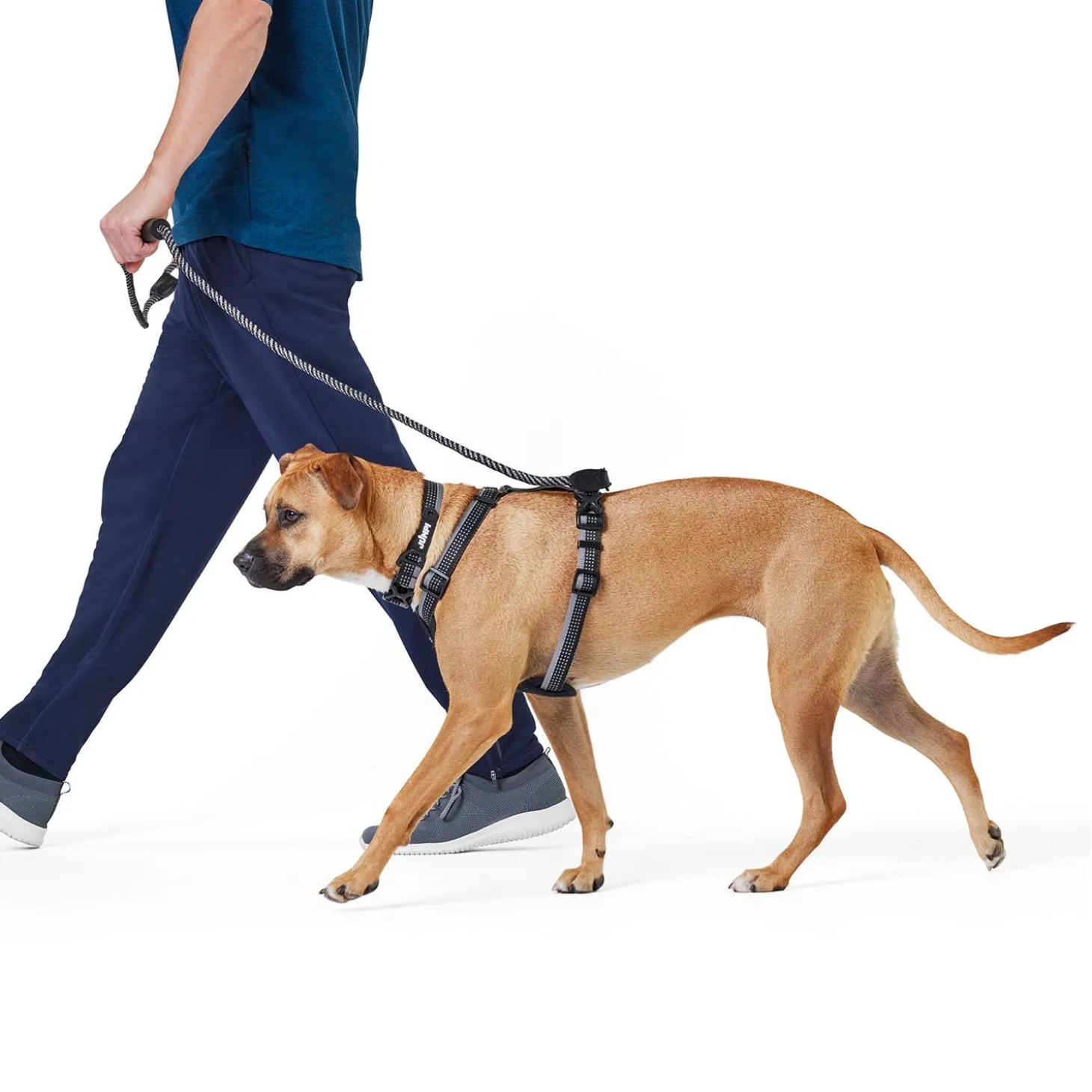 Discover Dog Reflective Rope 3/8in Black & Grey Dog Leash