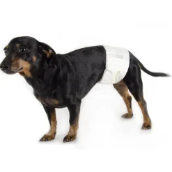 Disposable Male Wrap - 12 Pack