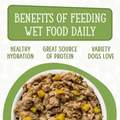 Dogs in the Kitchen Lamburgini with Lamb & Pumpkin Adult Dog Food