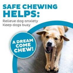 Dogwood Calming Medium Dog Toy 2 Pack