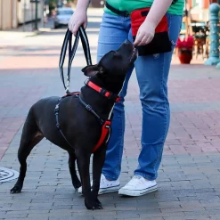 Double Handle Bungee Dog Leash Black