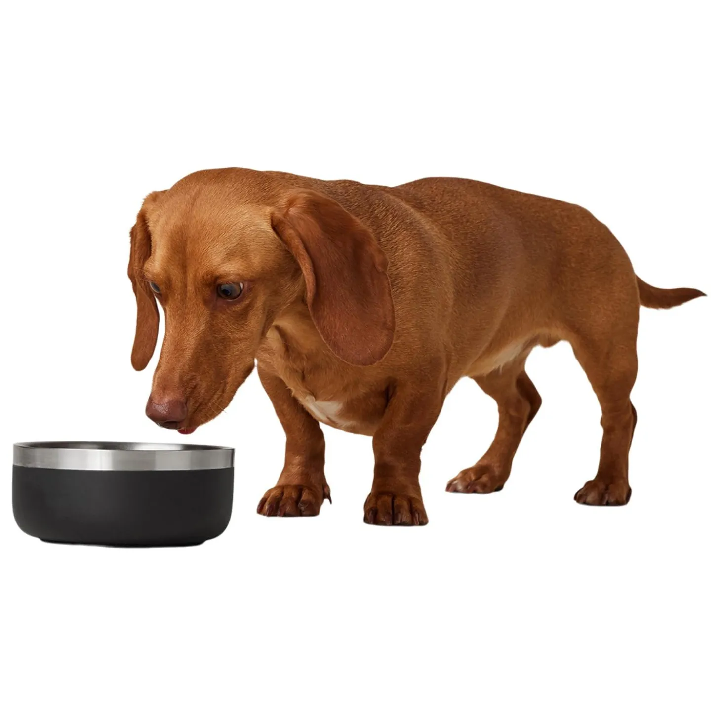 Double Wall Black Bowl