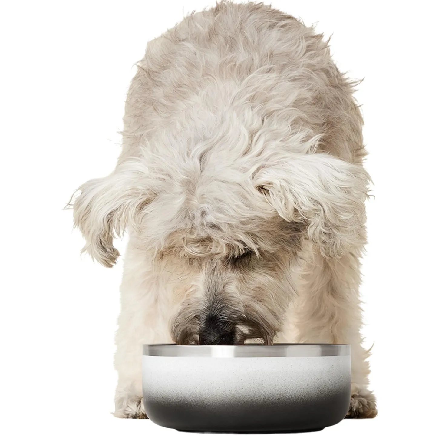 Double Wall Ombre Bowl