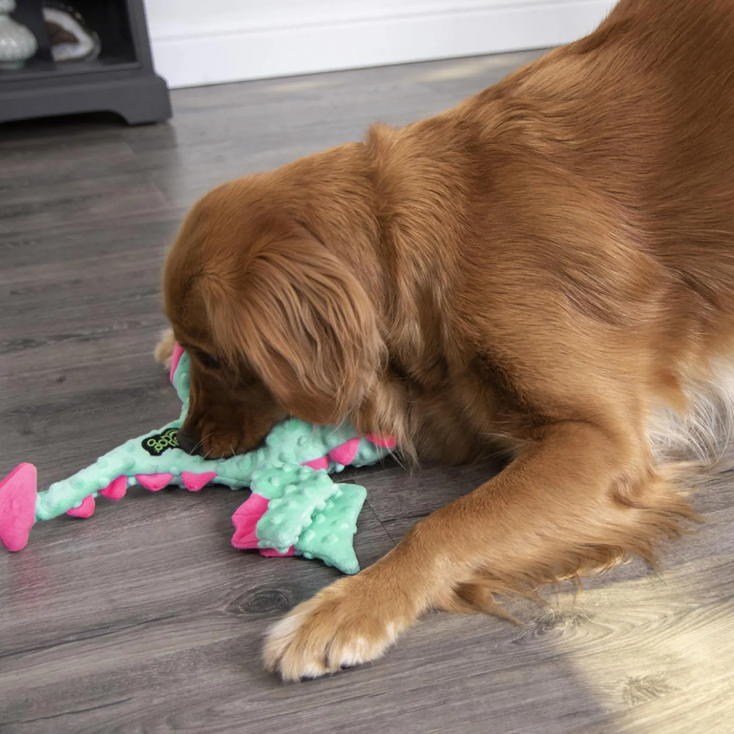 Dragon Teal Dog Toy