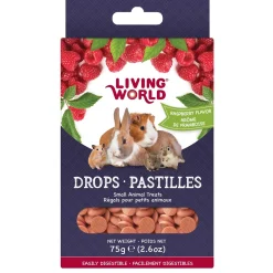 Drops Raspberry Flavour Treats