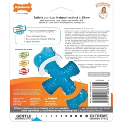 Dura Chew Bone Puppy Beef Flavour Dog Toy