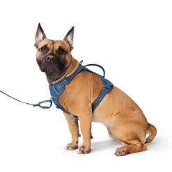 Dusty Blue Reflective Cushion Neoprene Padded Dog Harness