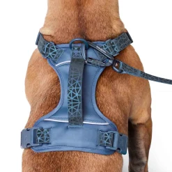 Dusty Blue Reflective Cushion Neoprene Padded Dog Harness