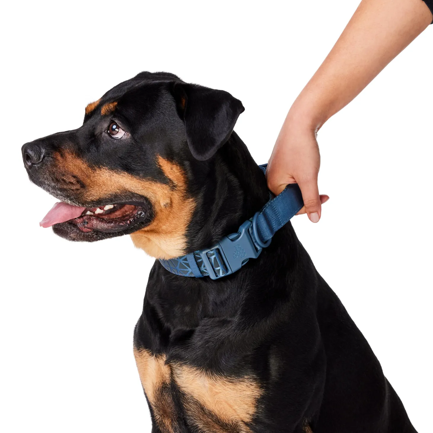 Dusty Blue Reflective Cushion Neoprene Padded Dog Collar
