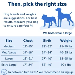 Easy Walk Adjustable Black & Silver Harness