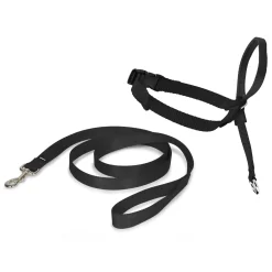 Easy Walk Dog Headcollar Black